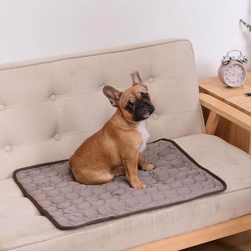 Cool Paws Cooling Mat